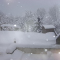 DSCN2966 1