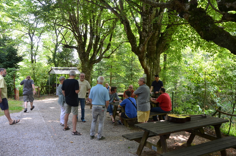 DSC_4715.resized.JPG