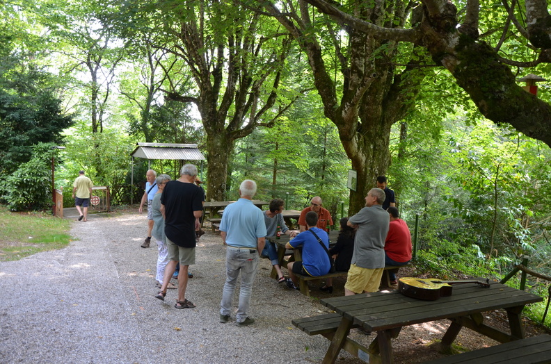 DSC_4716.resized.JPG